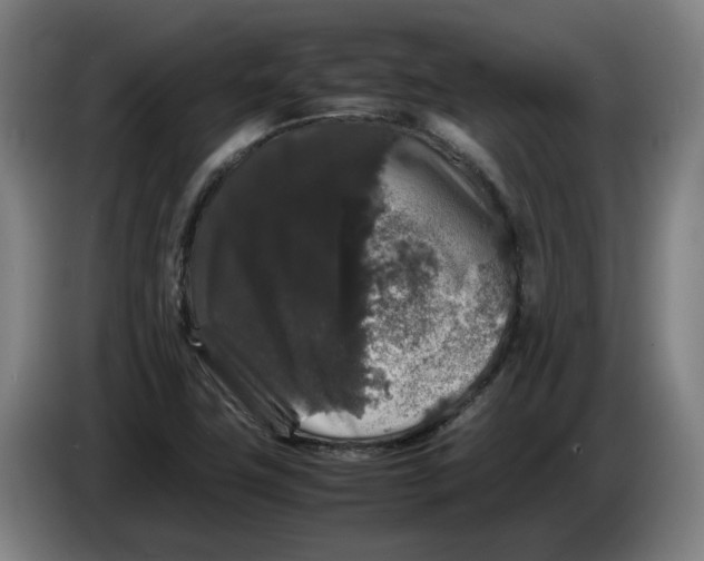 X0000086261411200704191854