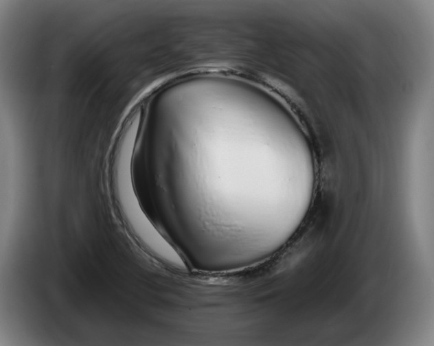 X0000086261412200704191854