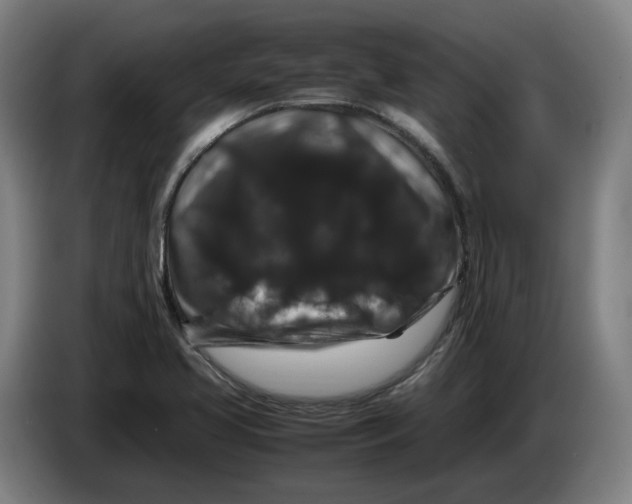 X0000086261413200704191854