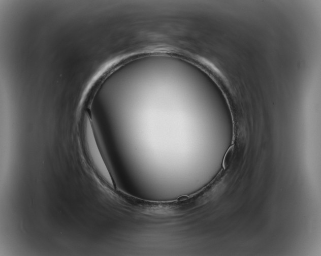 X0000086261414200704191854