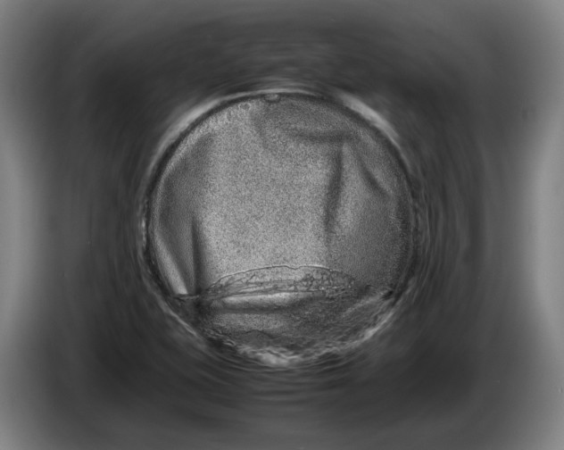 X0000086261415200704191854