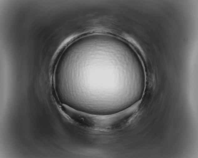 X0000086261416200704191854