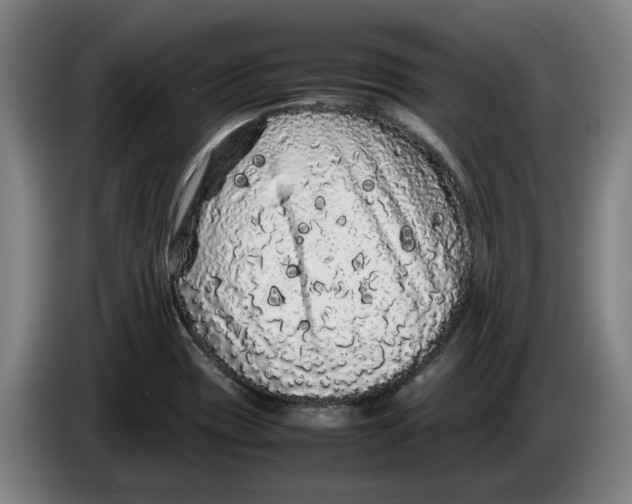 X0000086261417200704191854