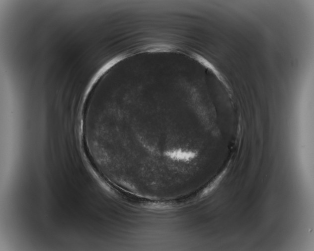 X0000086261418200704191854