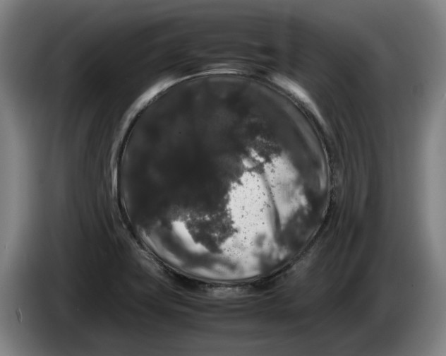 X0000086261419200704191854