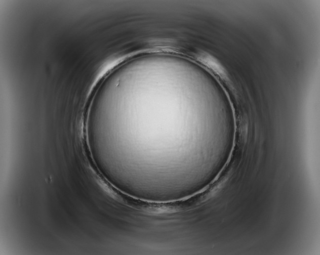 X0000086261420200704191854
