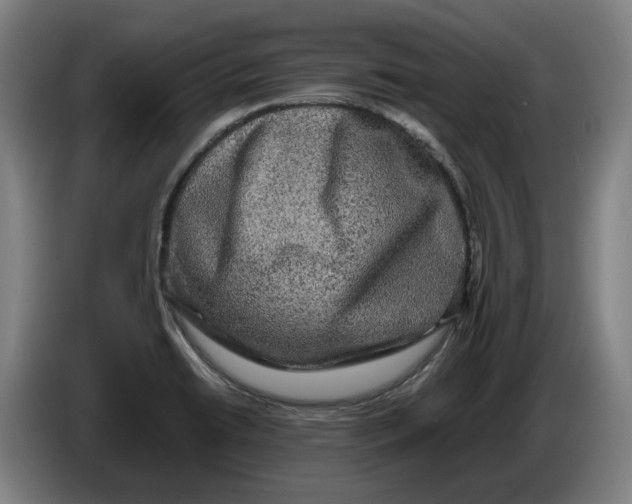 X0000086261422200704191854