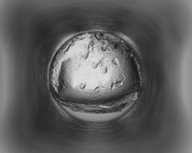 X0000086261423200704191854