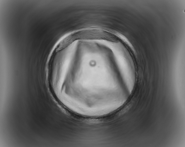 X0000086261424200704191854