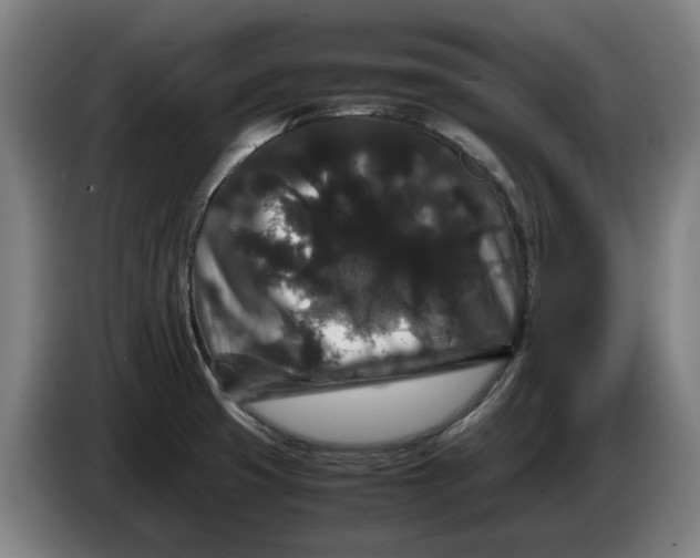 X0000086261425200704191854