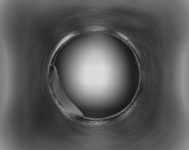 X0000086261426200704191854