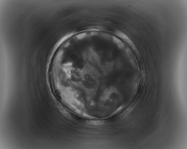X0000086261427200704191854