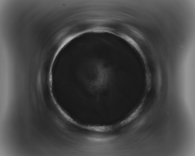 X0000086261428200704191854