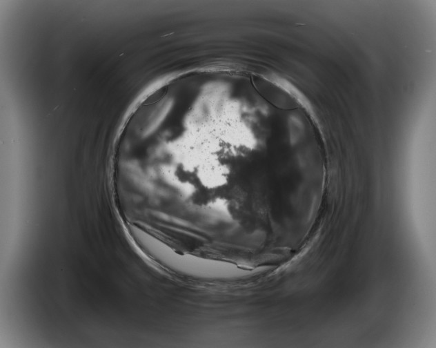 X0000086261429200704191854