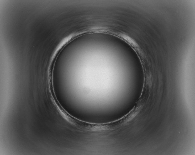 X0000086261430200704191854