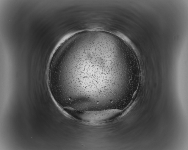 X0000086261432200704191854