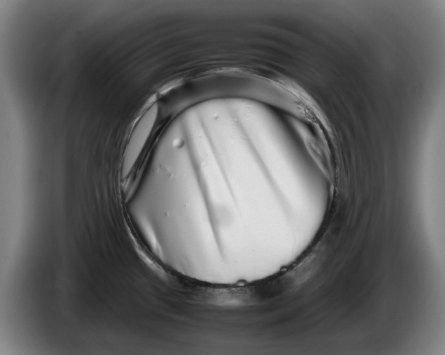 X0000086261433200704191854
