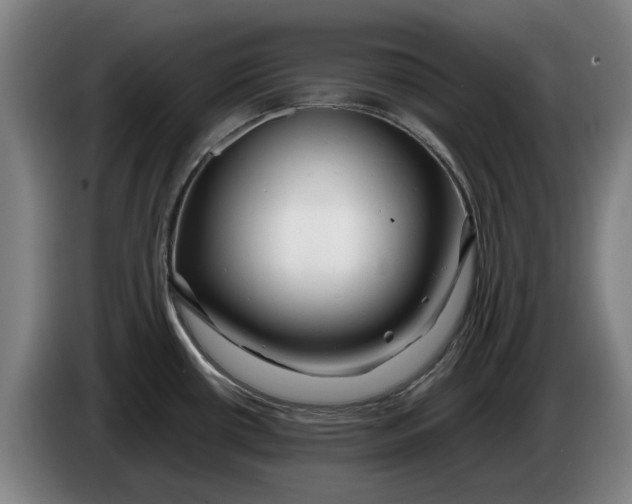 X0000086261434200704191854