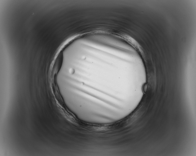 X0000086261435200704191854