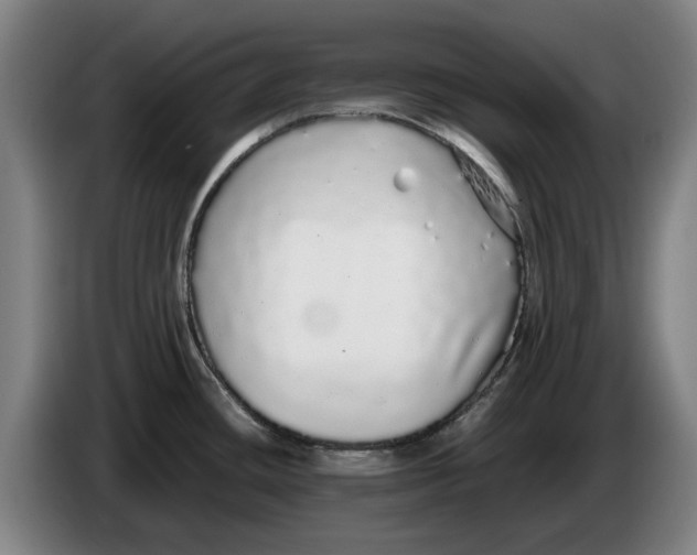 X0000086261436200704191854