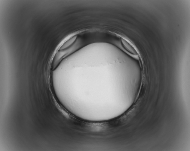 X0000086261437200704191854