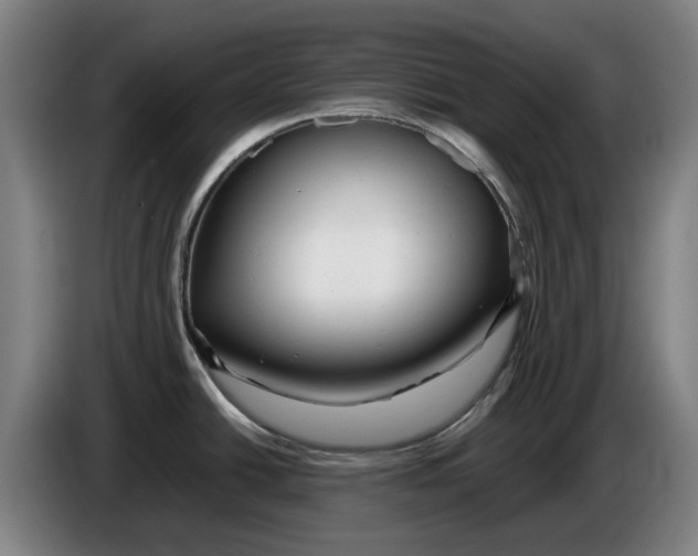 X0000086261438200704191854