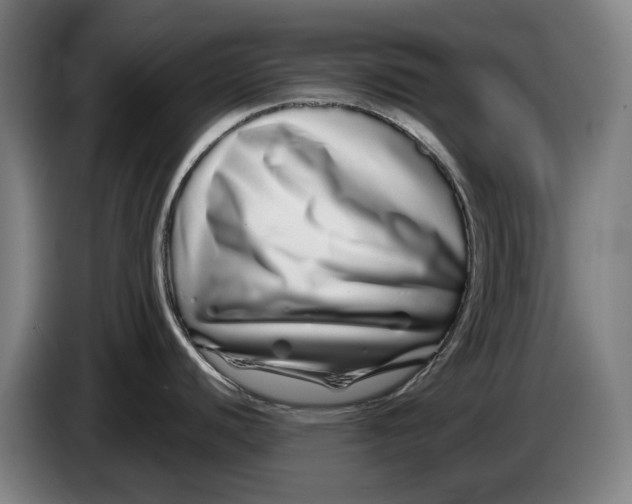 X0000086261440200704191854