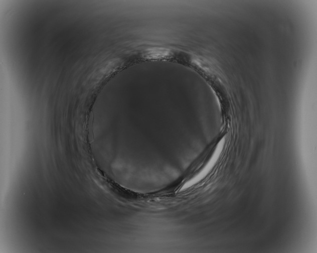 X0000086261441200704191854