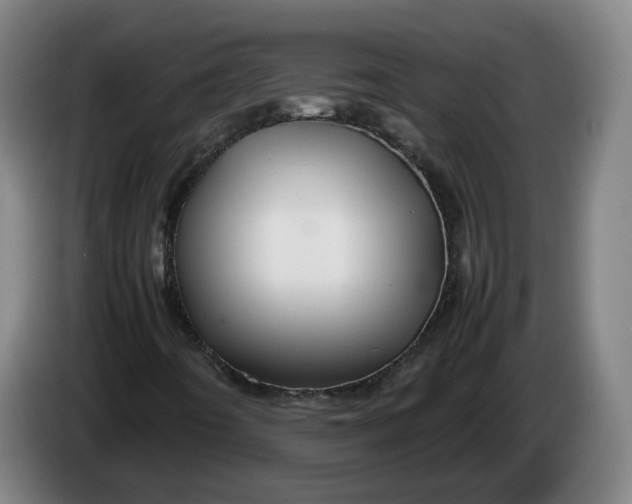 X0000086261442200704191854