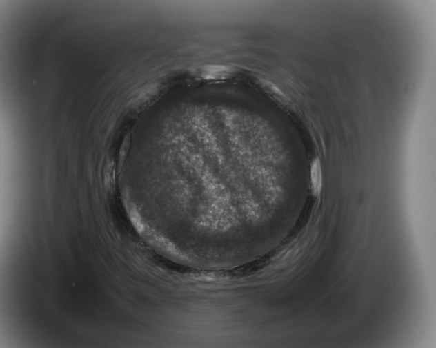 X0000086261443200704191854
