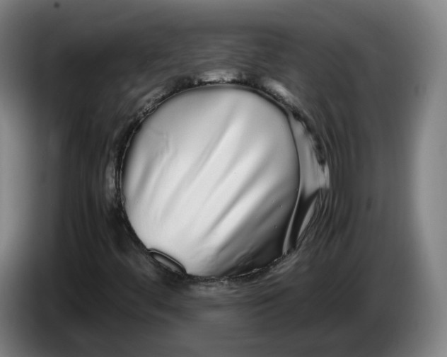 X0000086261444200704191854