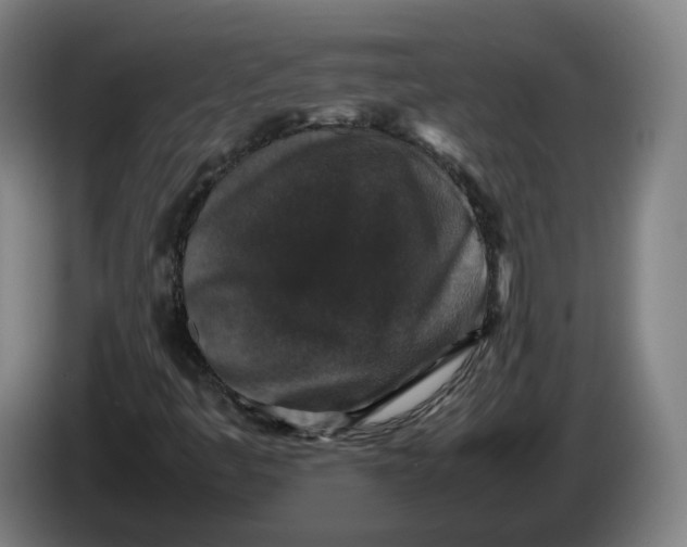 X0000086261445200704191853