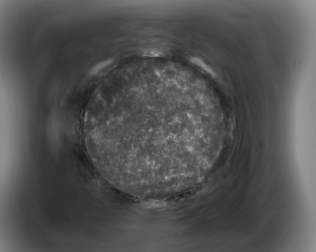 X0000086261446200704191853