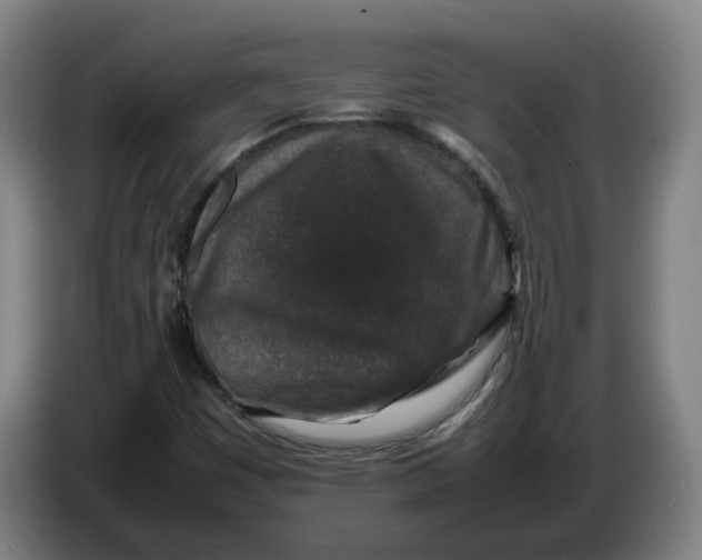 X0000086261449200704191853