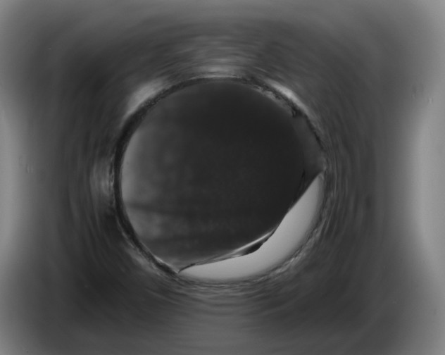 X0000086261450200704191853