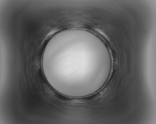 X0000086261451200704191853