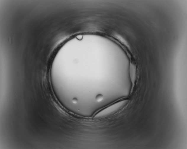 X0000086261452200704191853