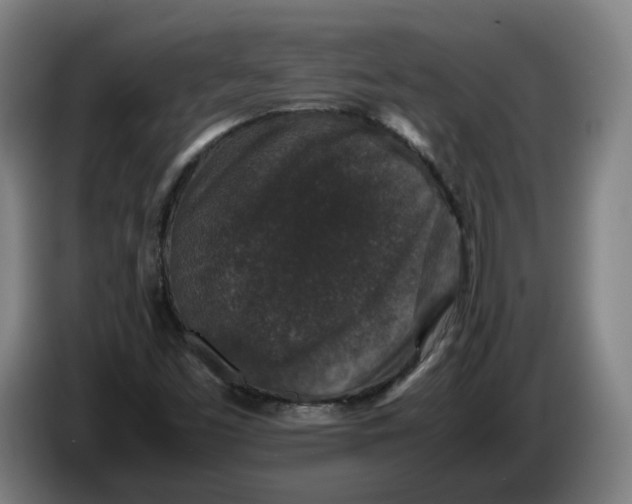 X0000086261453200704191853