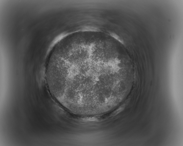 X0000086261454200704191853