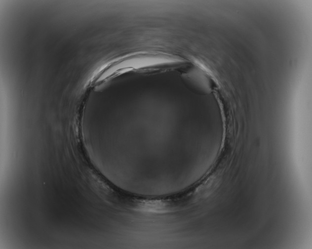 X0000086261455200704191853