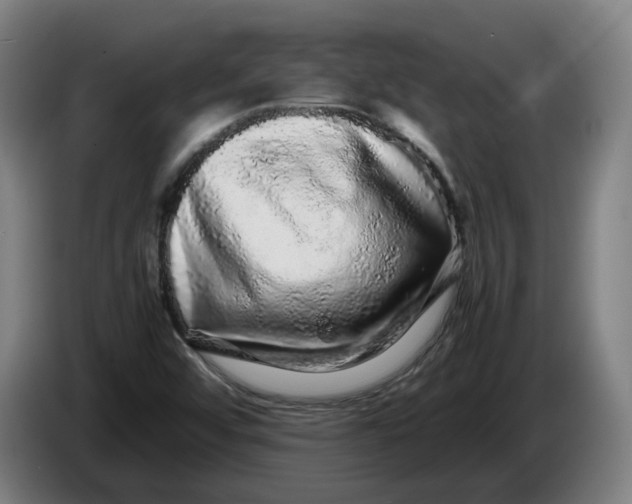 X0000086261456200704191853