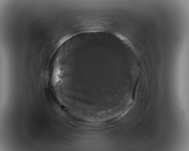 X0000086261457200704191853