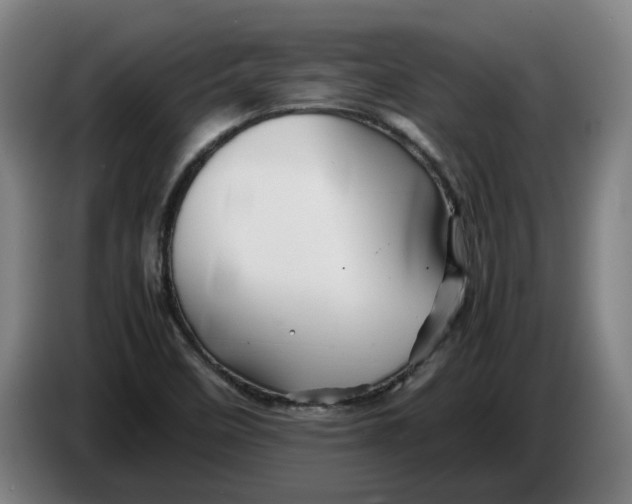 X0000086261458200704191853