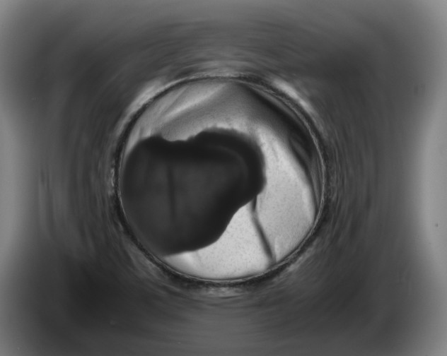 X0000086261459200704191853