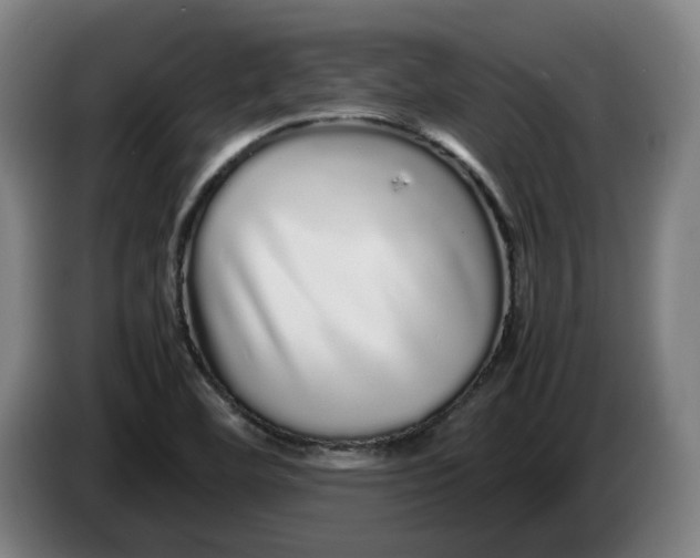 X0000086261460200704191853