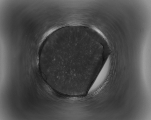 X0000086261461200704191853