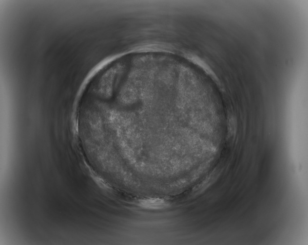 X0000086261462200704191853