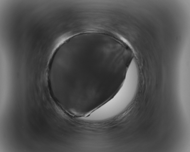 X0000086261463200704191853