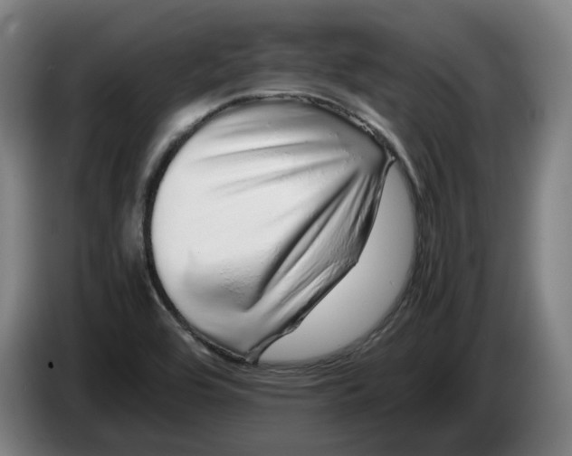 X0000086261464200704191853