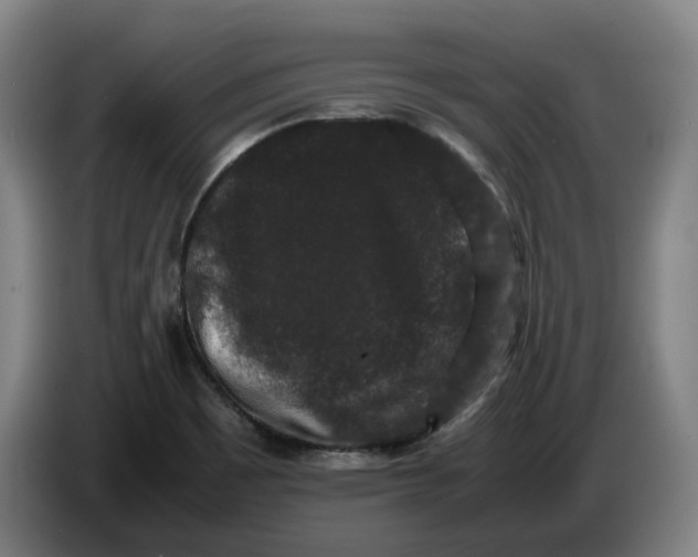 X0000086261465200704191853